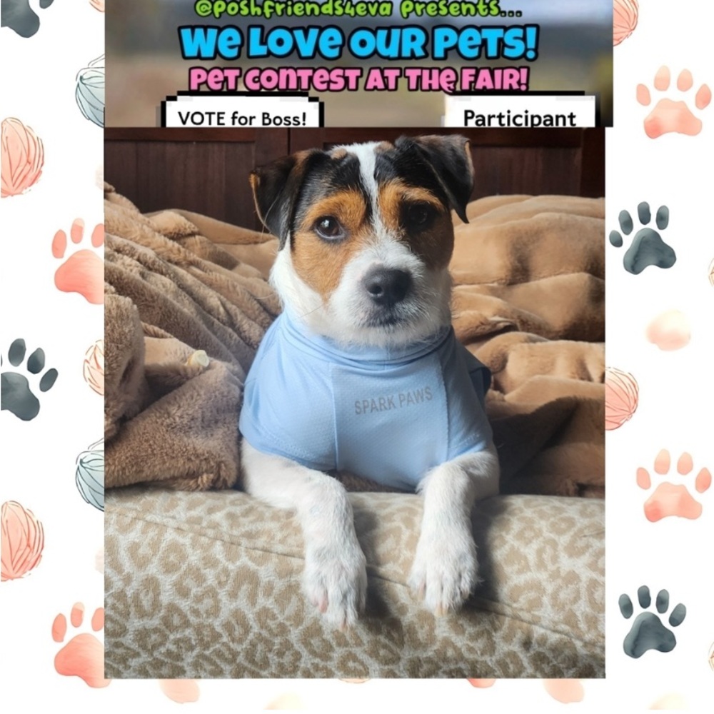 @bethybd and Boss win! 🐶🏆 Shares on the way! We ❤️ everyone’s pets! Ty all! 🤗